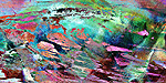 Guided By Intuition Abstract Art Abstract Art, Abstract Energy Art, Canvas Print