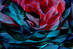 Romance Abstract Flower Art Abstract Flower Art, Abstract Energy Art, Canvas Print