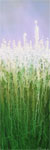 Abstract Landscape Paintings, Abstract Landscape, Abstract Paintings