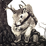 pencil drawings